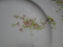 Syracuse 53203, Pink Flowers, Tan Lattice: Dinner Plate (s), 9 3/4", Wear
