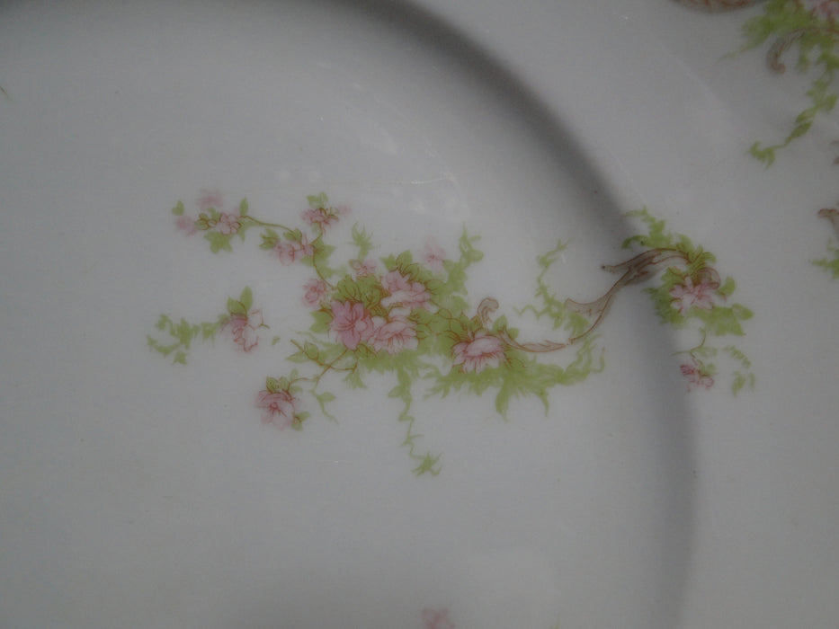Syracuse 53203, Pink Flowers, Tan Lattice: Dinner Plate (s), 9 3/4", Wear