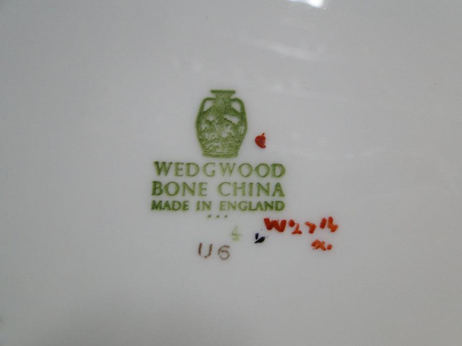 Wedgwood Florentine Turquoise, Fruit, Dragons: Dinner Plate, 10 3/4", Trim Wear