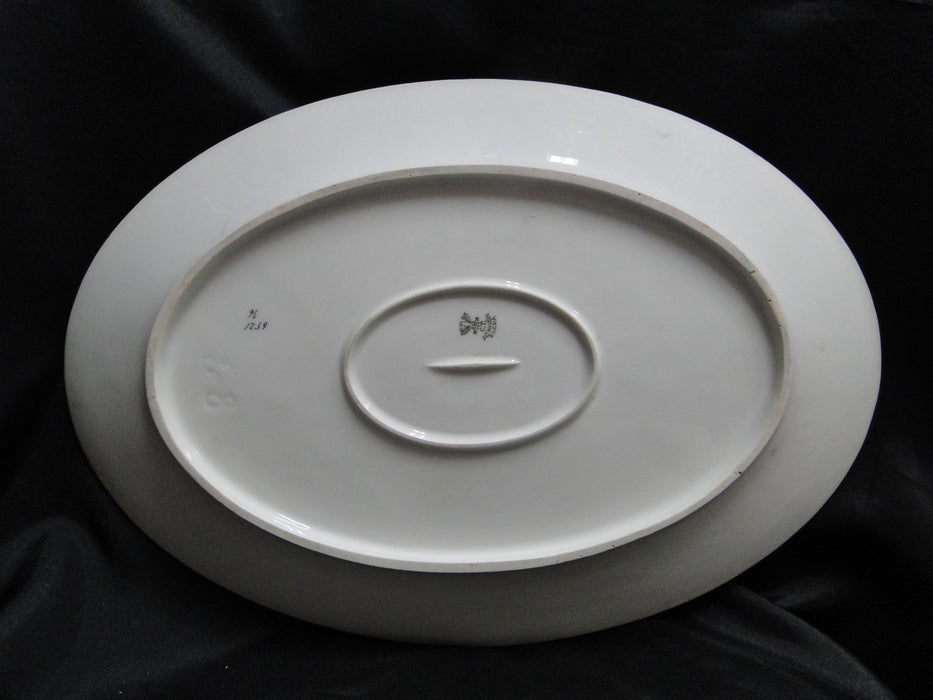 Tielsch, C. Altwasser, White w/ Gold Trim: Oval Platter, 17 1/8" x 11 3/4"