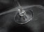 Clear w/ Long Thin Stem, Short Bowl: Champagne Flute (s), 9 3/4" -- CR#061