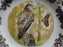 Spode Woodland Birds of Prey Autumn Red Tail Hawk: NEW Dinner Plate 10 1/2", Box