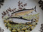 Spode Woodland North American Fish Pacific Salmon: NEW Dinner Plate 10 1/2", Box