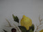 Wedgwood Drury Lane, Fruit, Leaves: Dinner Plate (s), 10", Crazing
