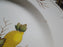 Wedgwood Drury Lane, Fruit, Leaves: Dinner Plate (s), 10", Crazing