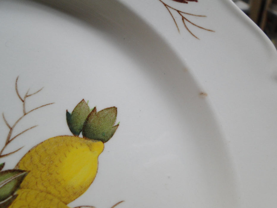 Wedgwood Drury Lane, Fruit, Leaves: Dinner Plate (s), 10", Crazing