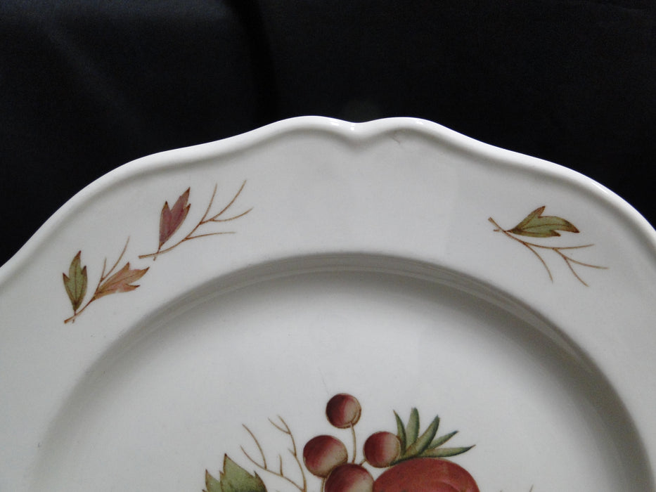 Wedgwood Drury Lane, Fruit, Leaves: Dinner Plate (s), 10", As Is