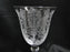 Tiffin June Night, 17392, Clear, Etched: Water or Wine Goblet (s), 7 7/8" Tall