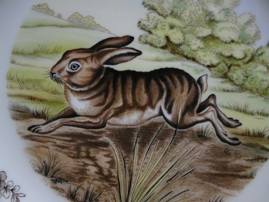 Spode Woodland Rabbit, Bunny, England: Dinner Plate (s), 10 1/2", Box