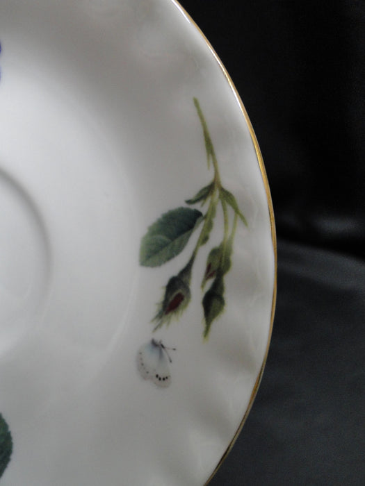 Roy Kirkham, White w/ Redoute Roses: Cup & Saucer Set, 2 7/8", Gold Trim