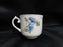 Villeroy & Boch Bouquet, Flowers, Insects: Demi Cup & Saucer Set (s), 2 1/4"