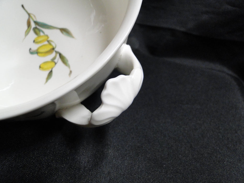 Villeroy & Boch Bouquet, Flowers, Insects: Cream Soup Bowl & Saucer Set, Flaw