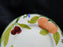 Franciscan Fresh Fruit, USA, Green Border: Salad Plate, 8", As Is