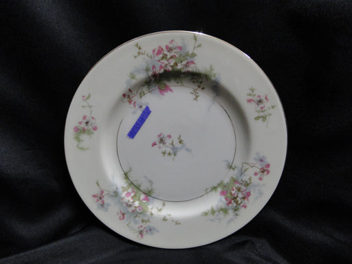 Haviland (New York) Apple Blossom: Salad Plate, 7 1/2", Wear