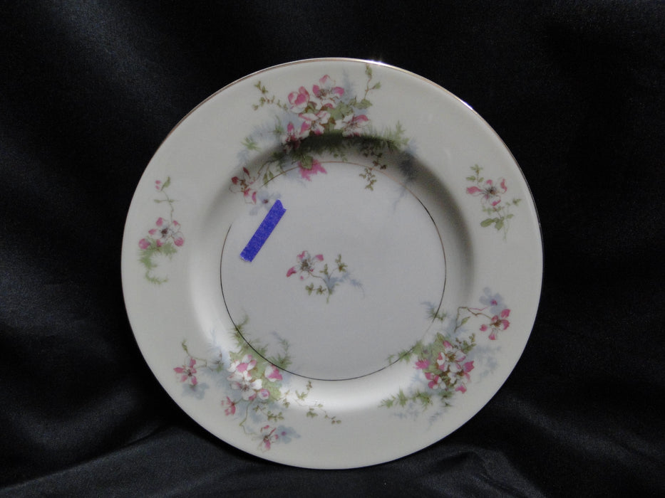 Haviland (New York) Apple Blossom: Salad Plate, 7 1/2", Wear