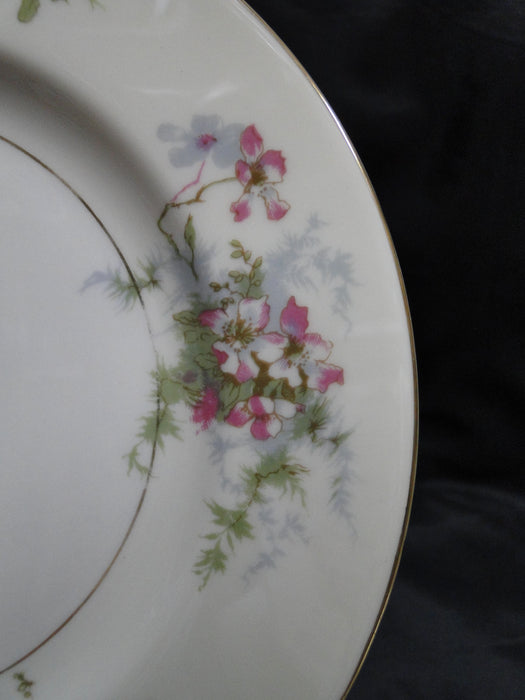 Haviland (New York) Apple Blossom: Salad Plate, 7 1/2", Wear