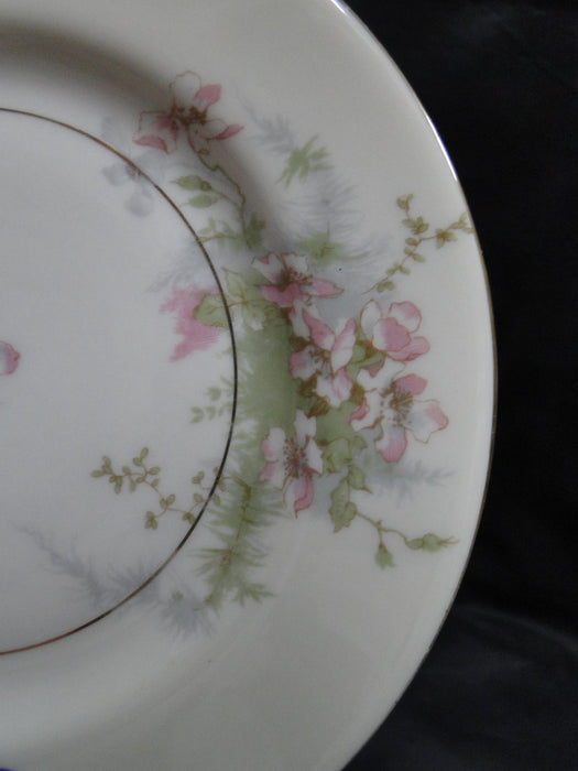 Haviland (New York) Apple Blossom: Bread Plate, 6 3/8", As Is
