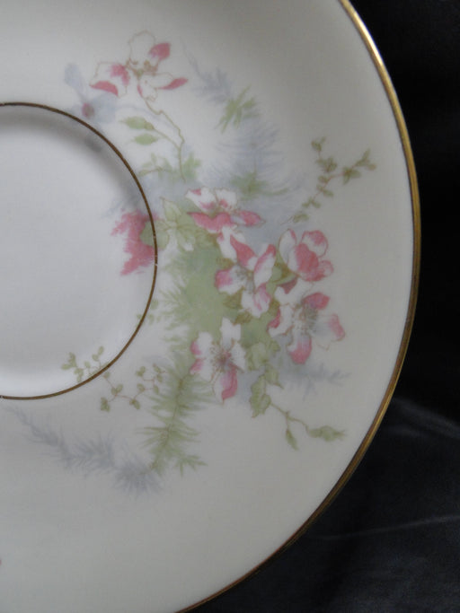 Haviland (New York) Apple Blossom: 5 3/4" Saucer (s) Only, No Cup