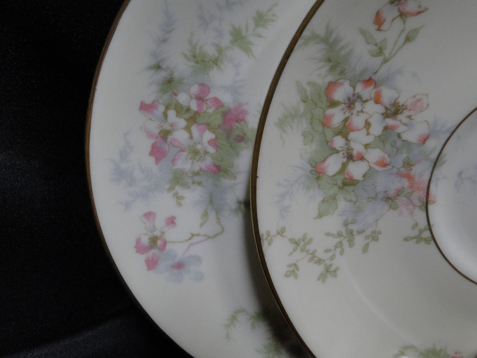 Haviland (New York) Apple Blossom: 5 3/4" Saucer (s) Only, No Cup