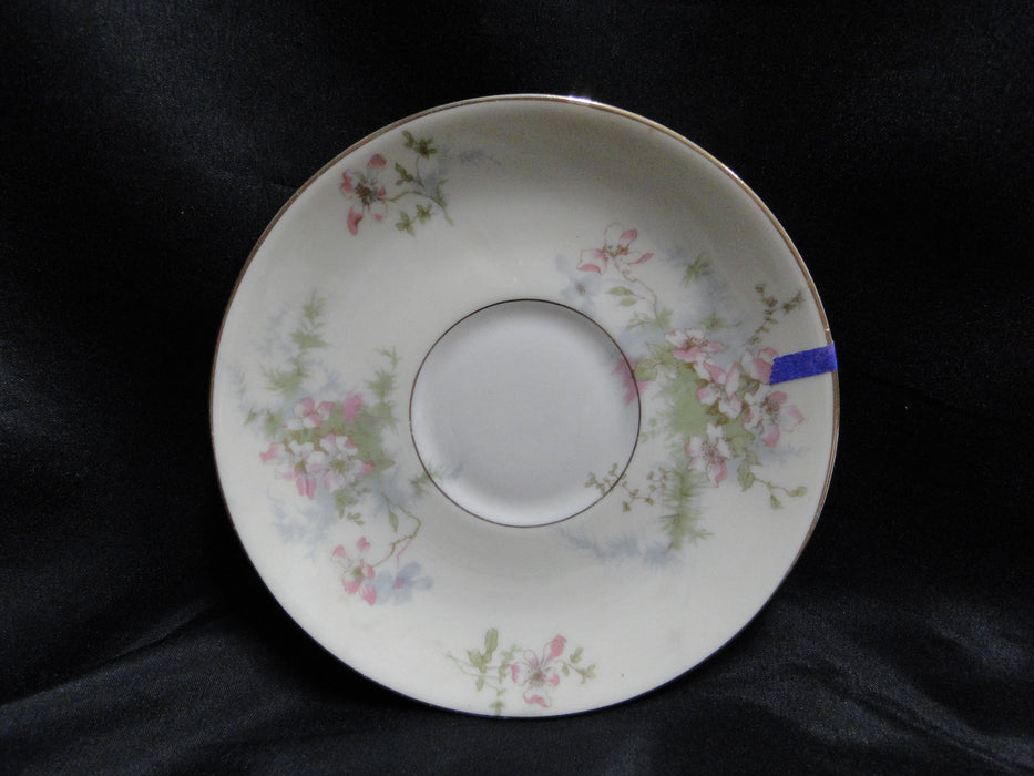 Haviland (New York) Apple Blossom: 5 3/4" Saucer (s) Only, No Cup, Trim