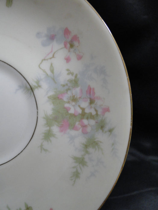 Haviland (New York) Apple Blossom: 5 3/4" Saucer (s) Only, No Cup, Trim