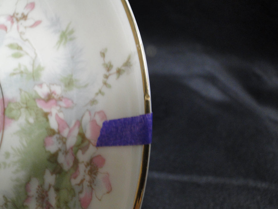 Haviland (New York) Apple Blossom: 5 3/4" Saucer (s) Only, No Cup, Trim