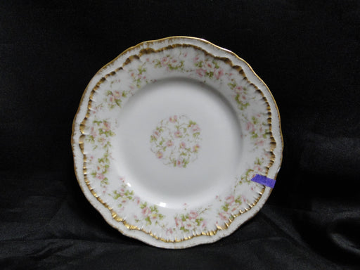 Haviland Schleiger 844, Double Gold Trim: Bread Plate (s), 6 1/4", As Is