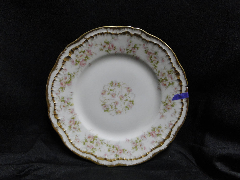 Haviland Schleiger 844, Double Gold Trim: Bread Plate (s), 6 1/4", As Is