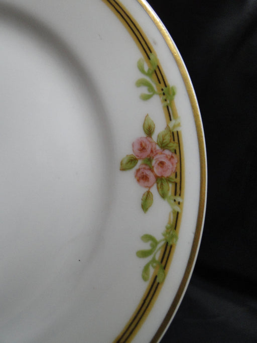 Haviland Schleiger 625A, Pink Roses on Vine: Bread Plate (s), 6 1/4", As Is