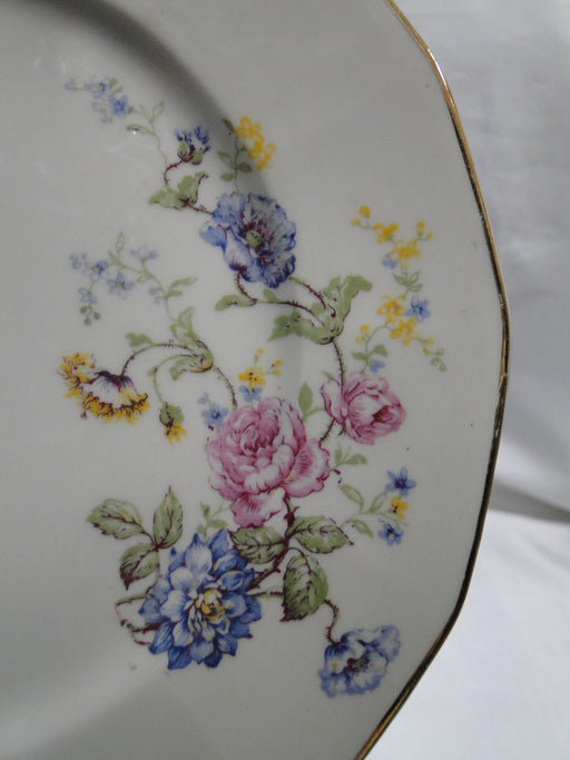 Haviland, Chas Field Rosario, Multicolored: Luncheon Plate (s), 8 1/2"