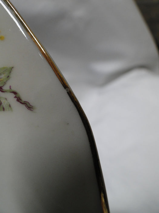 Haviland, Chas Field Rosario, Multicolored: Luncheon Plate (s), 8 1/2"
