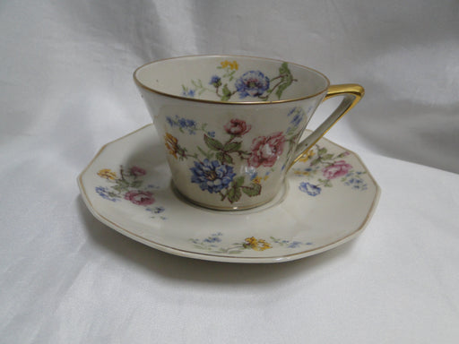 Haviland, Chas Field Rosario, Multicolored: Cup & Saucer Set, 2 1/4" Tall