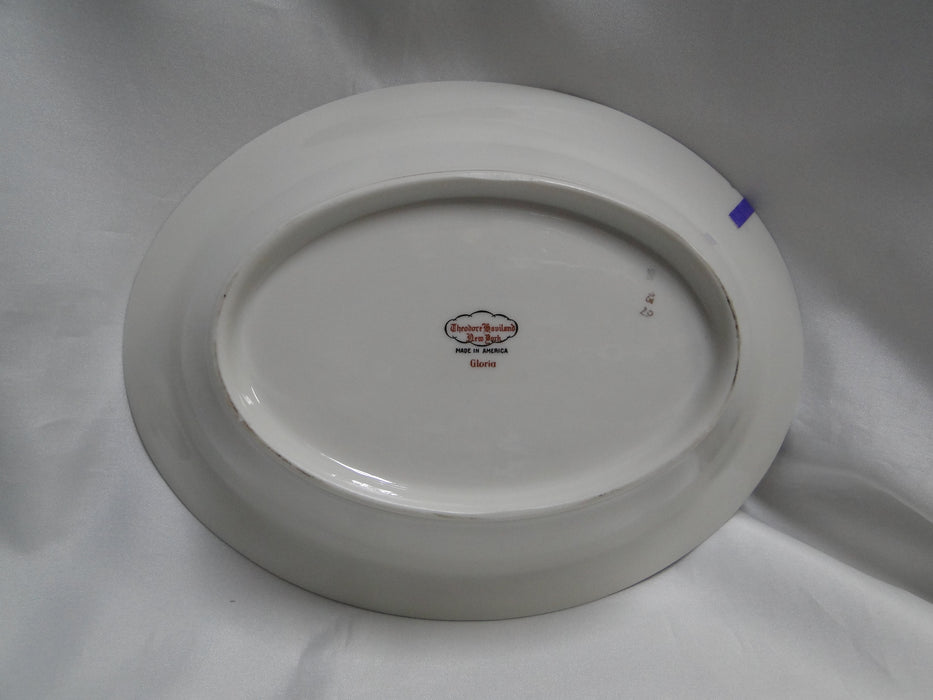 Haviland (New York) Gloria, Cream Rim, Floral: Oval Serving Bowl, As Is