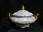 Hutschenreuther Sylvia Handpainted Roses: Serving Bowl w/ Lid & Handles