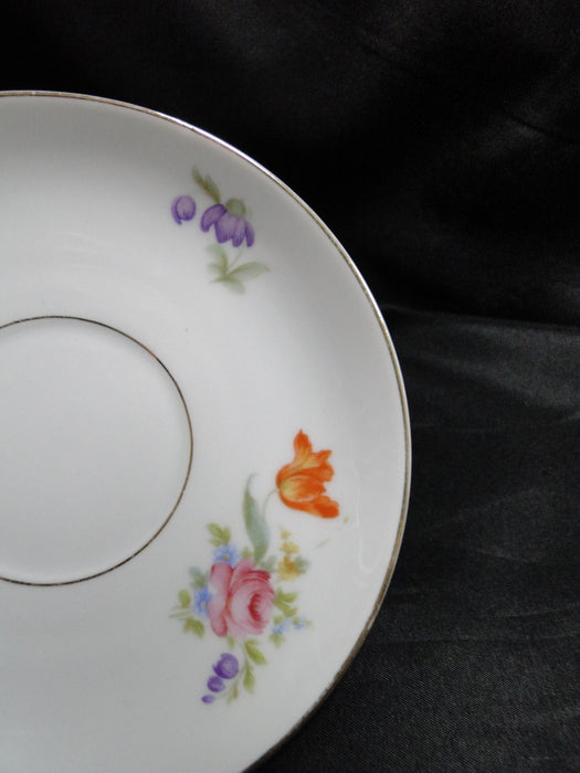 Krister Porzellan (KPM) KPM2, Multi Motif Florals: 5 3/4" Saucer Only