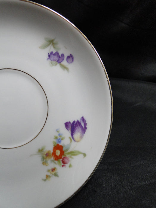 Krister Porzellan (KPM) KPM2, Multi Motif Florals: 5 3/4" Saucer Only