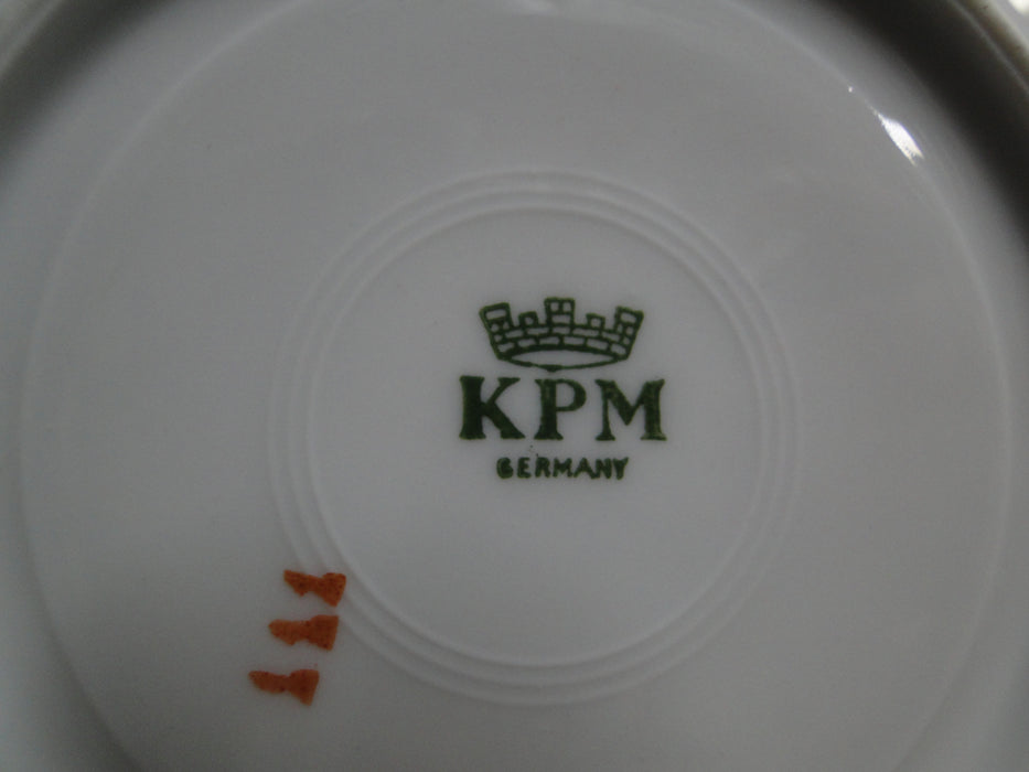 Krister Porzellan (KPM) KPM2, Multi Motif Florals: 5 3/4" Saucer Only