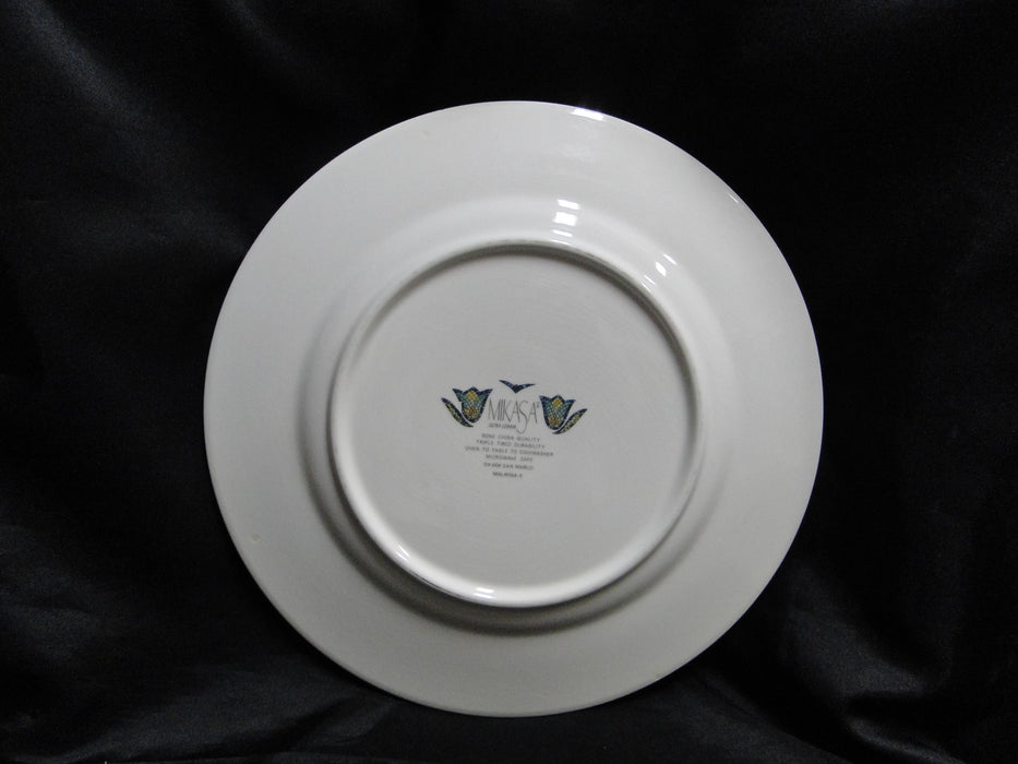 Mikasa San Marco, Mosaic Floral Border: Dinner Plate 11" Crazing & Discoloration