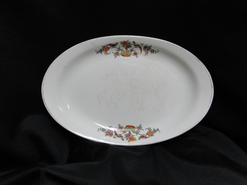 Homer Laughlin HLC3713, Birds, Flowers: Oval Serving Platter, 11 1/4", As Is