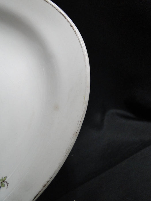Homer Laughlin HLC3713, Birds, Flowers: Oval Serving Platter, 11 1/4", As Is