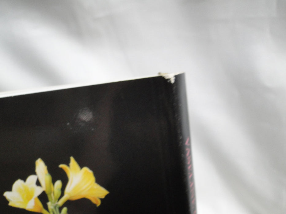 Vaseline Glass: Canary to Contemporary by David A. Peterson
