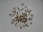 Lenox Starlight, Brown Flowers, Gold Trim: Dinner Plate (s), 10 3/8"
