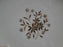 Lenox Starlight, Brown Flowers, Gold Trim: Bread Plate (s), 6 1/4"