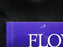 Flow Blue A Collector's Guide, 4th Edition by Jeffrey B. Snyder