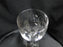 Waterford Crystal Carleton Platinum: Water or Wine Goblet (s), 8 1/2" Tall