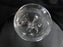 Waterford Crystal Carleton Platinum: Water or Wine Goblet (s), 8 1/2" Tall
