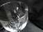 Waterford Crystal Carleton Platinum: Water or Wine Goblet (s), 8 1/2" Tall