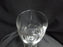 Waterford Crystal Carleton Platinum: Iced Tea (s), 8 1/4" Tall