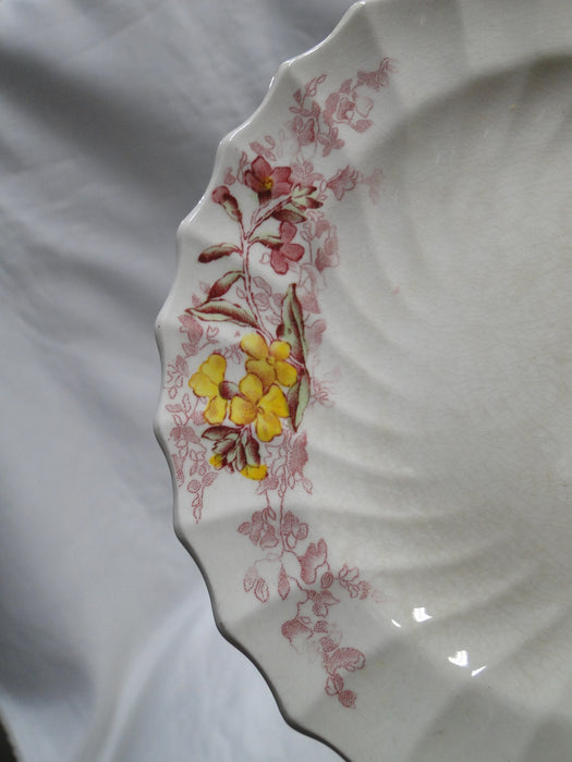 Spode Fairy Dell, Multicolored Florals, Swirl Rim: Bread Plate (s), 6 1/8" As Is