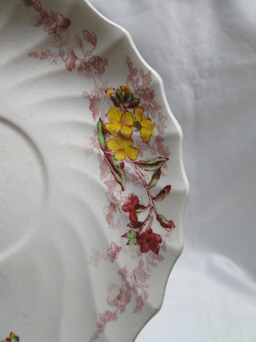 Spode Fairy Dell, Multicolored Florals, Swirl Rim: Cup & Saucer Set (s), As Is